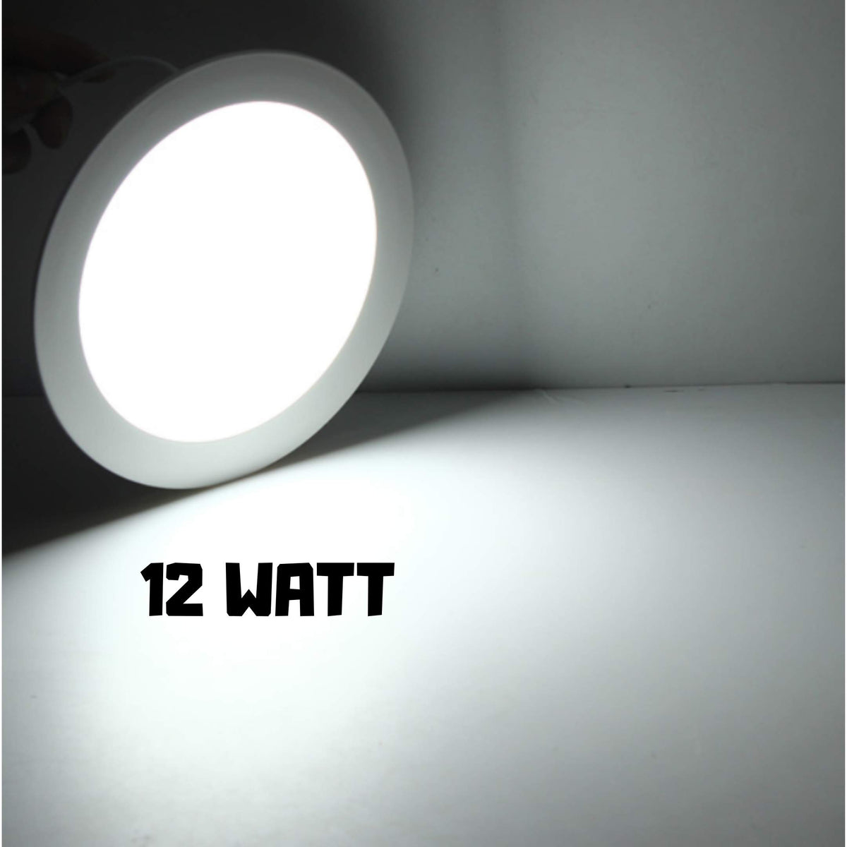 12 watt store led