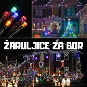 ŽARULJICE ZA BOR