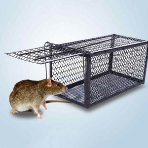 žičana zamka za štakore